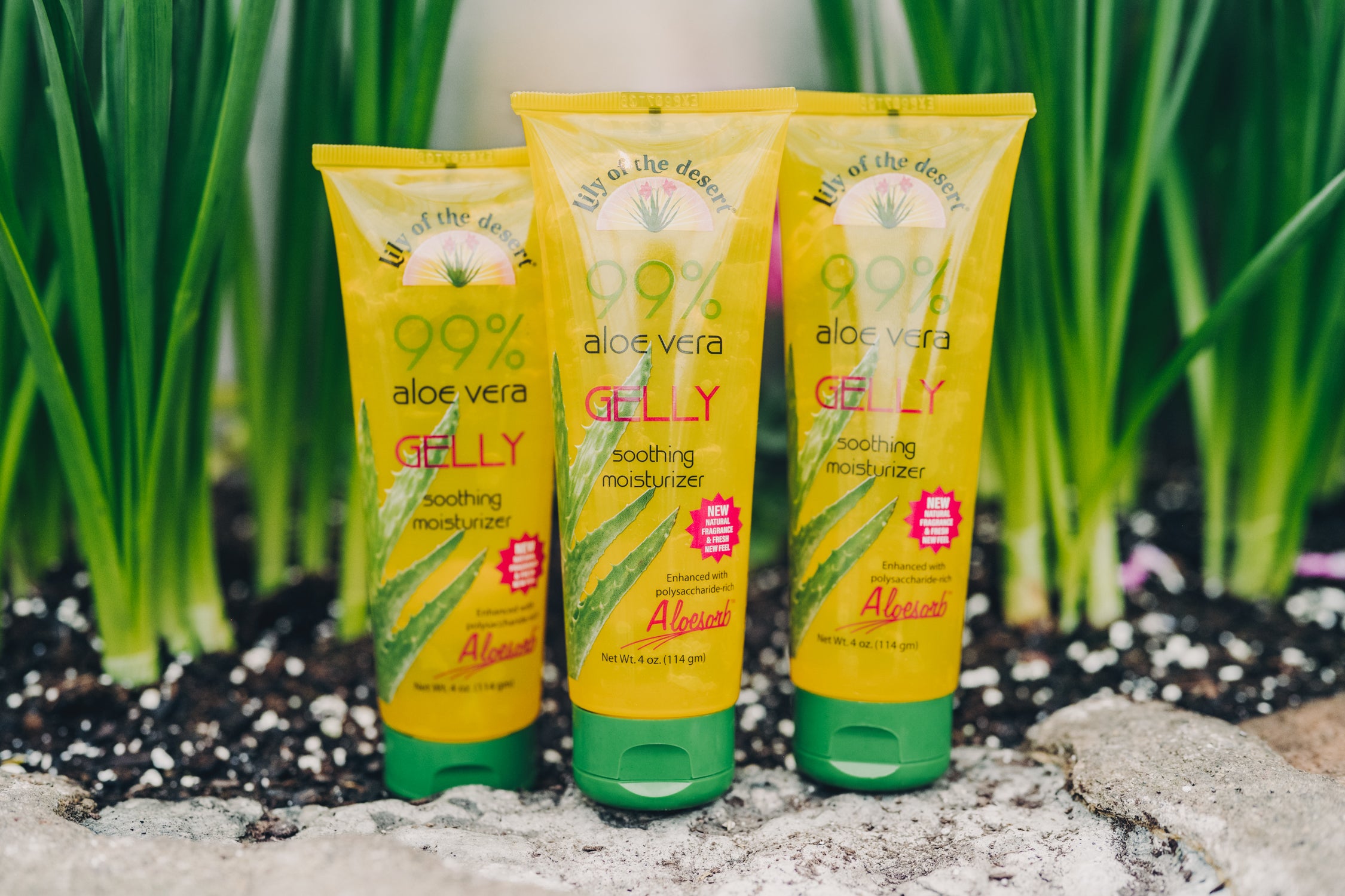 aloe vera mast Aloe Vera Face Mask main image 0