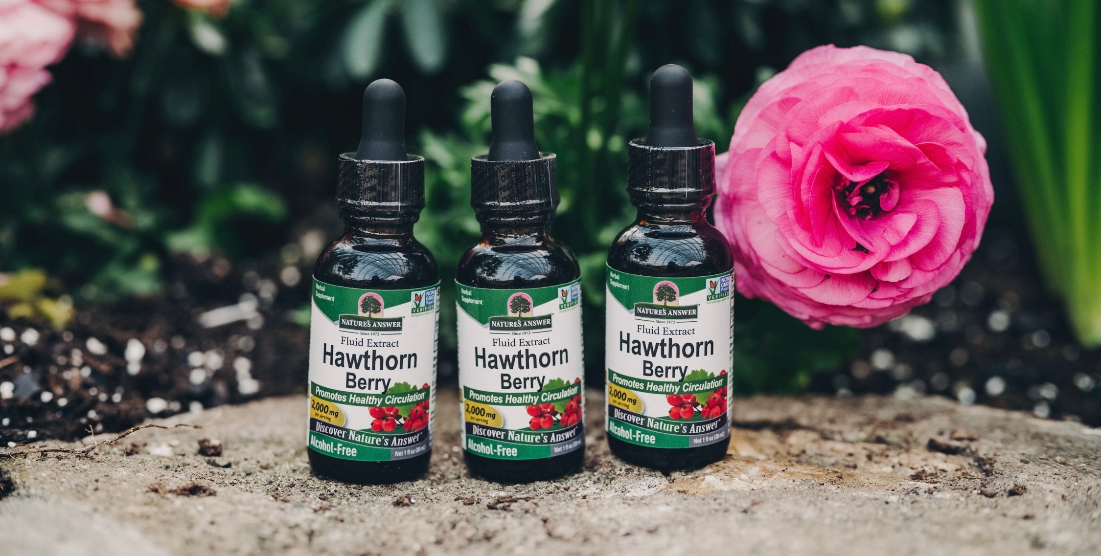 Hawthorn