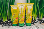 Aloe Vera Gelly 4oz