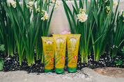Aloe Vera Gelly 4oz