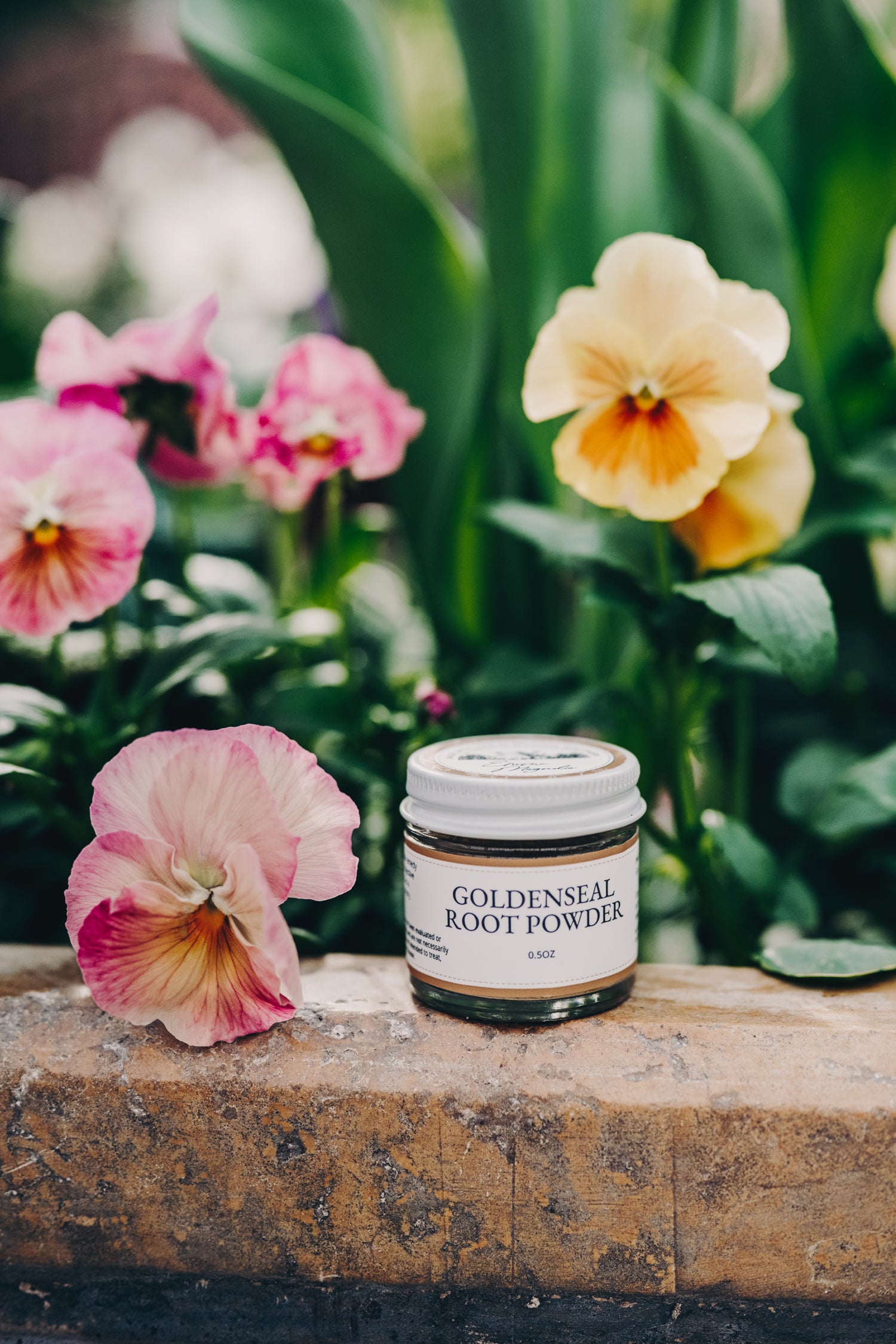Goldenseal Root Powder