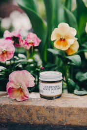 Goldenseal Root Powder