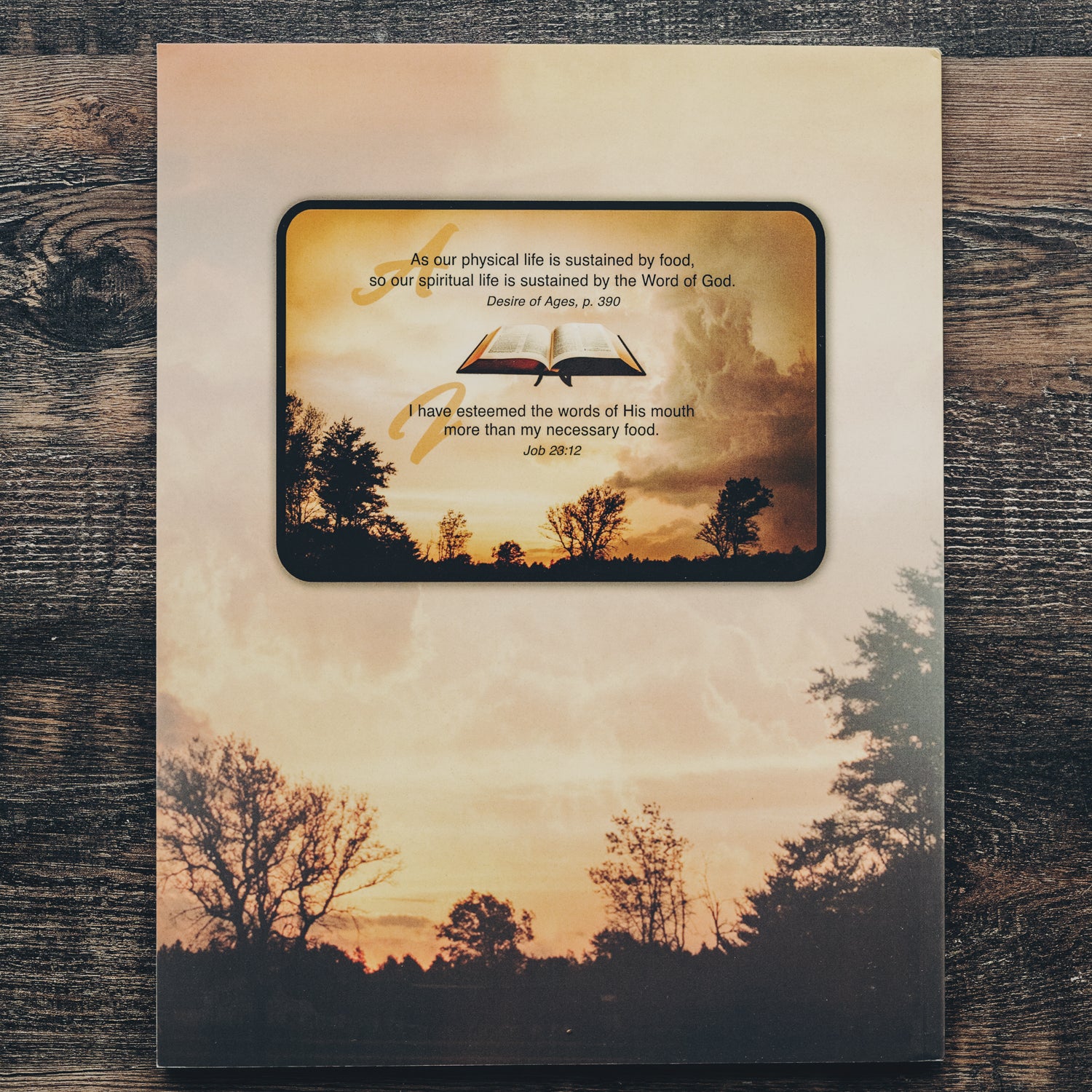194TerraSura-EmmaMagnoliaProductComo5x7-2476.jpg