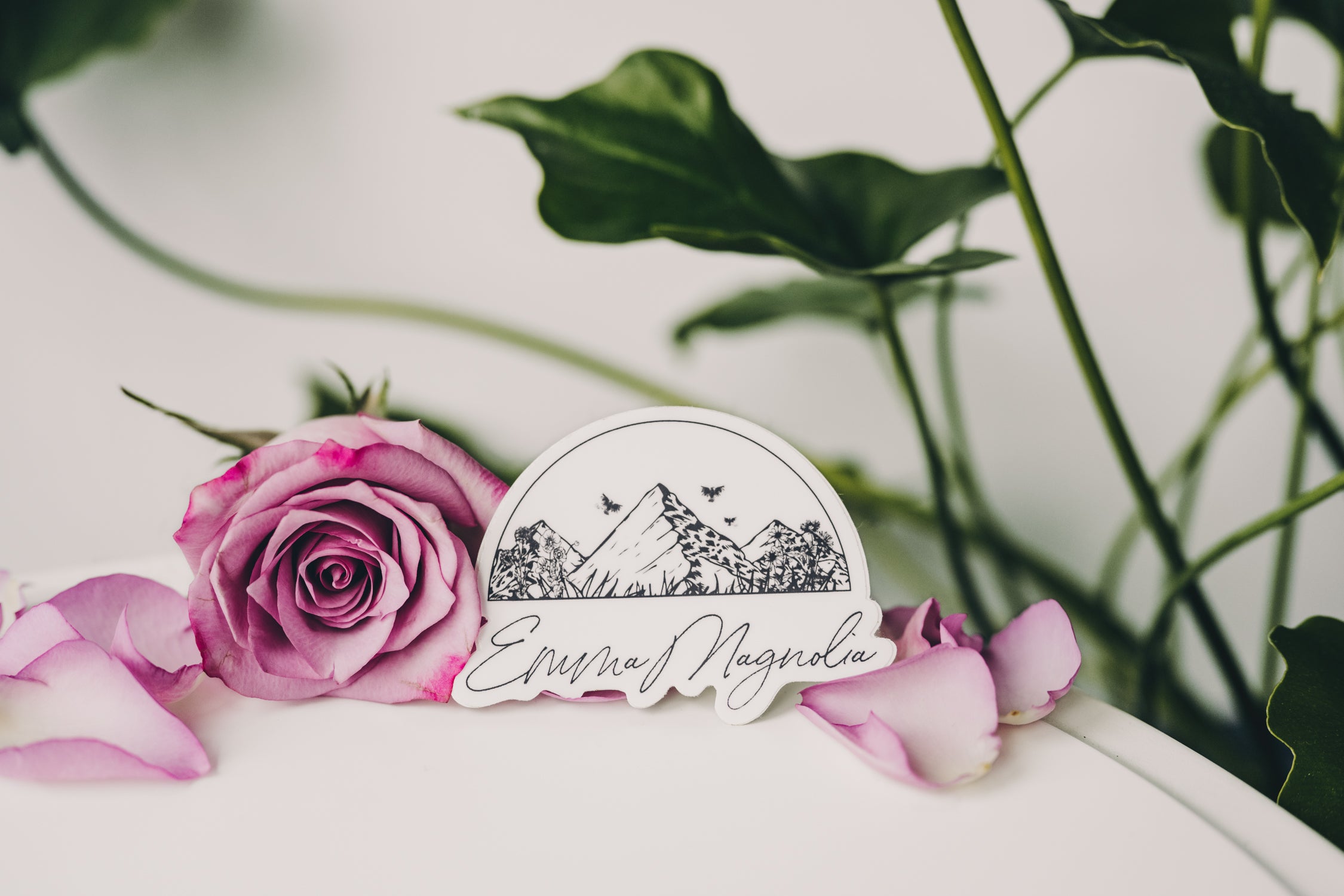 257TerraSura-EmmaMagnoliaProductComo5x7-2590.jpg