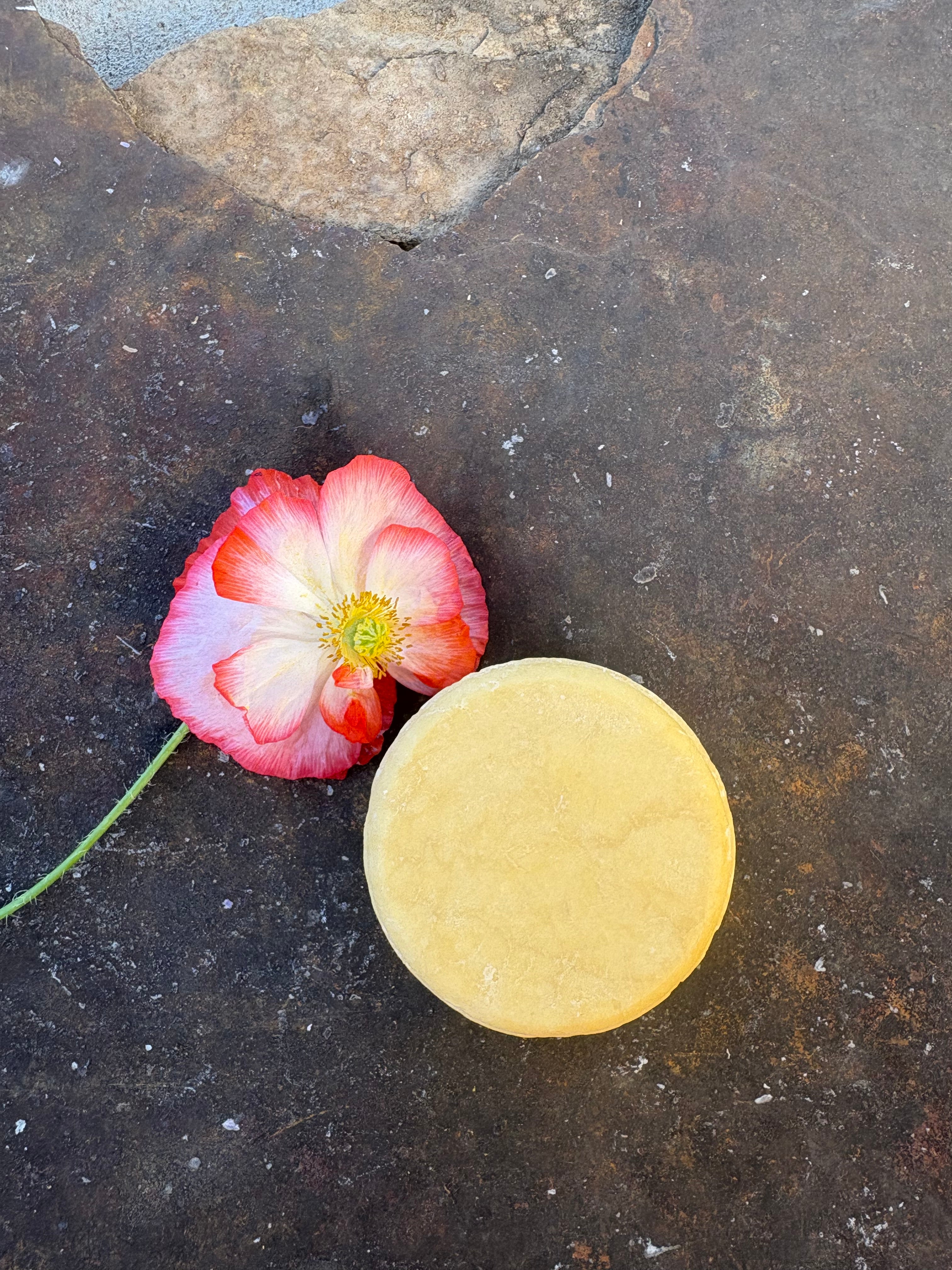 Golden Waves Shampoo Bar