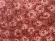 Patterned fabric with sunflower design on a red-brown background