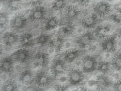 Patterned fabric with sunburst design on a gray background