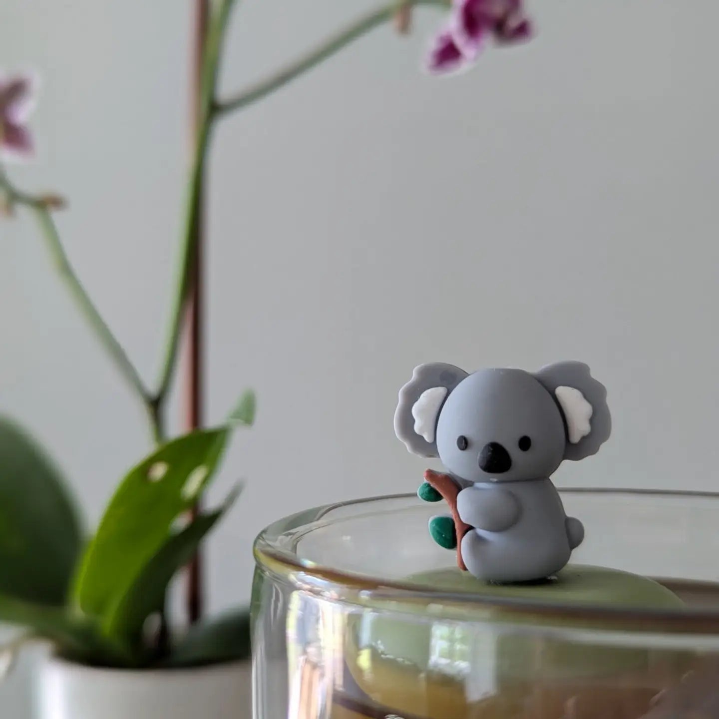 Koala figurine on a glass surface with a plant in the background