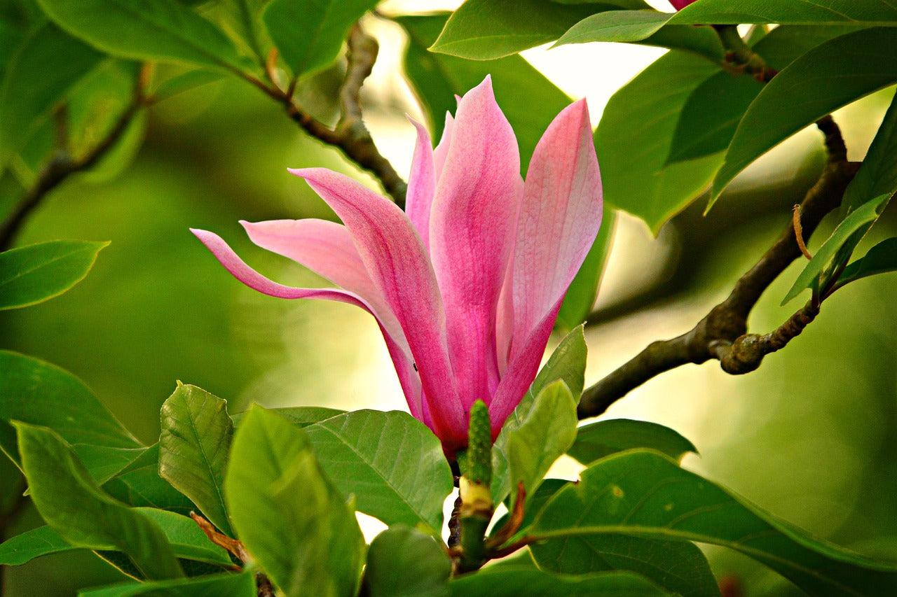 image_fa9204f4-3a12-4d65-8ddd-d62aec217c8e.jpg